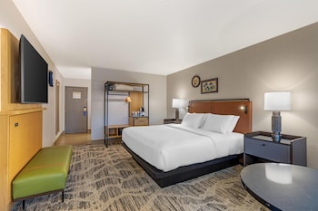 Standard Room, 1 King Bed, Non Smoking, Refrigerator & Microwave (View)