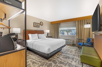 Standard Room, 1 King Bed, Accessible, Non Smoking