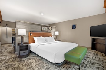 Standard Room, 1 King Bed, Accessible, Non Smoking (with Sofabed)