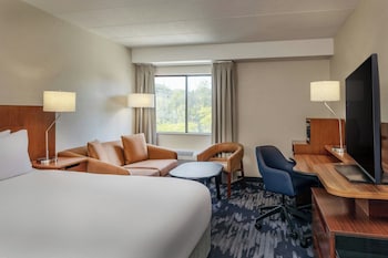 Room, 1 King Bed with Sofa bed