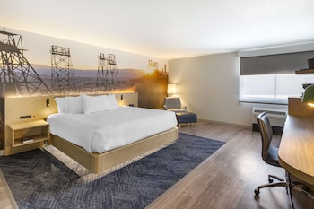 Standard Room, 1 Queen Bed, Non Smoking (No Pets in room type)