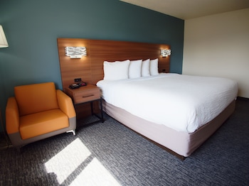 Room, 1 King Bed, Mobility Accessible, Non Smoking
