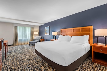 Executive Suite, 1 King Bed with Sofa bed, Non Smoking