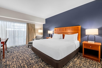 Room, 1 King Bed, Accessible, Non Smoking (Pool View, Hearing, Roll-in Shower)