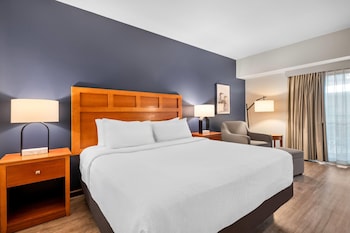 Deluxe Suite, 1 King Bed with Sofa bed, Non Smoking, Pool View