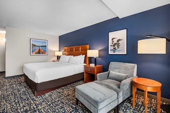 Room, 1 King Bed, Non Smoking