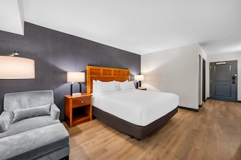 Room, 1 King Bed, Accessible, Non Smoking (PoolSide, Hearing, Roll-in Shower)