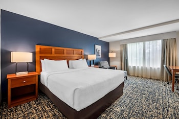 Room, 1 King Bed, Non Smoking