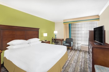 Room, 1 King Bed, Accessible (Roll In Shower)