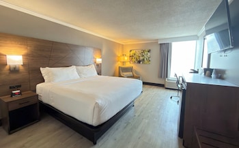 Room, 1 King Bed, Accessible (Roll In Shower)