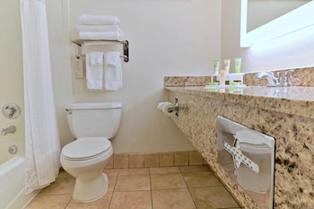 Room, 1 King Bed, Accessible (Roll In Shower)