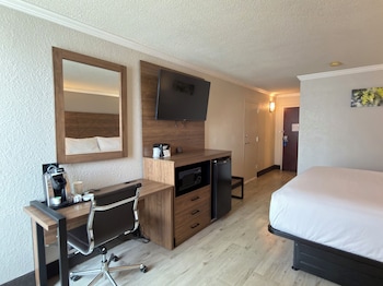 Room, 1 King Bed, Accessible (Roll In Shower)