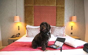 Superior Double Room, Bathtub