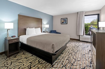 Standard Room, 1 King Bed, Non Smoking
