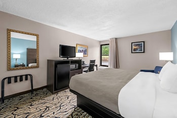 Room, 1 King Bed, Accessible, Non Smoking