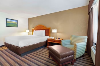 Standard Room, 1 King Bed, Accessible, Bathtub