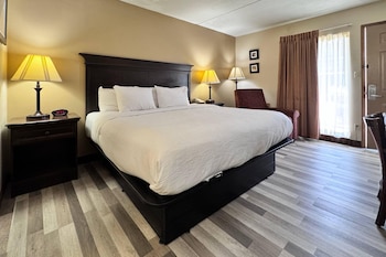 Room, 1 King Bed, Accessible, Non Smoking