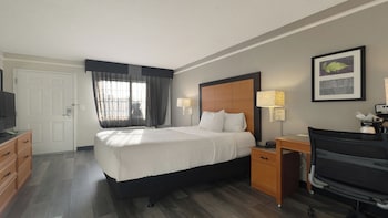 Room, 1 Queen Bed, Non Smoking