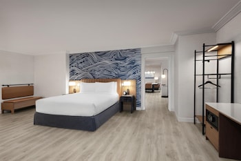Suite, 1 King Bed with Sofa bed, Roll-in Shower (Hospitality)