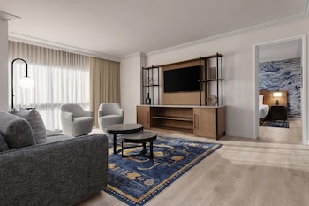 Suite, 1 King Bed with Sofa bed, Roll-in Shower (Hospitality)