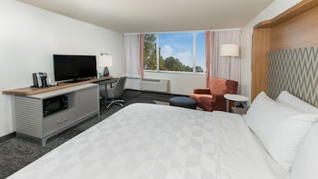 Standard Room, 1 King Bed, Accessible (Comms, Mobil, Access Tub)