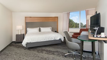 Standard Room, 1 King Bed, Corner