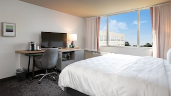 Standard Room, 1 King Bed, Accessible (Comms, Mobil, Access Tub)
