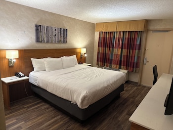 Standard Room, Poolside, 1 King Bed, Non-Smoking
