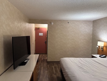 Standard Room, Poolside, 1 King Bed, Non-Smoking