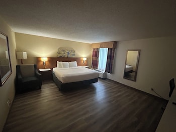 Standard Room, Poolside, 1 King Bed, Non-Smoking