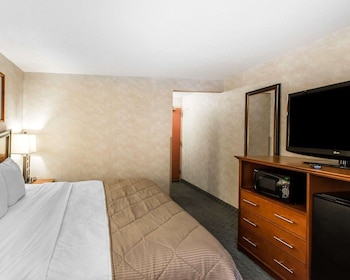 Standard Room, Poolside, 1 King Bed, Non-Smoking