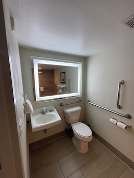Standard Room, 1 King Bed, Accessible, Patio (Walk-in Shower)
