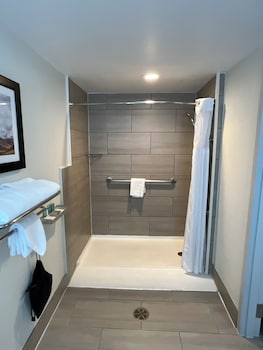 Standard Room, 1 King Bed, Accessible, Patio (Walk-in Shower)