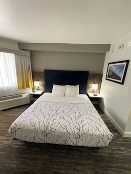 Standard Room, 1 King Bed, Accessible, Patio (Walk-in Shower)