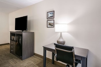 Standard Room, 1 King Bed, Accessible, Non Smoking (Accessible Tub)