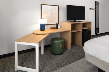 Room, 1 King Bed, Accessible (Mobility & Hearing, Roll-in Shower)