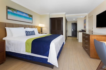 Room, 1 King Bed, Accessible, City View (Mobility/Non-Smoking/ Bath Tub)