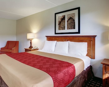 Room, 1 King Bed, Accessible, Non Smoking