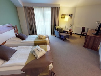 Privilege, Room, 1 Queen Bed