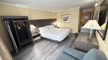 Standard Room, 1 King Bed, Non Smoking