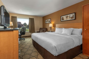 Superior Room, 1 King Bed, Non Smoking