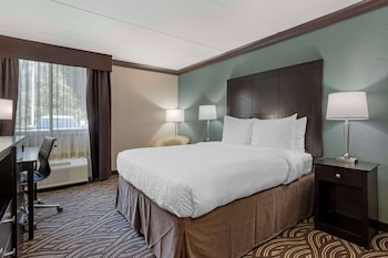 Standard Room, 1 Queen Bed, Non Smoking, Refrigerator & Microwave