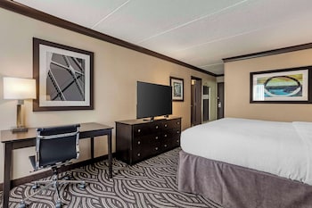 Suite, 1 King Bed, Non Smoking, Refrigerator & Microwave (with Sofabed)