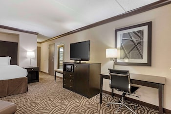 Suite, 1 King Bed, Non Smoking, Refrigerator & Microwave (with Sofabed)
