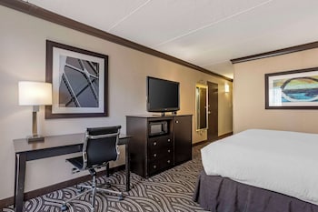Standard Room, 1 King Bed, Accessible