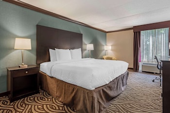 Standard Room, 1 King Bed, Non Smoking, Refrigerator & Microwave
