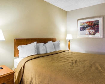 Standard Room, 1 King Bed, Non Smoking