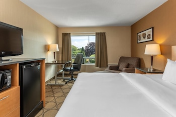 Room, 1 King Bed, Non Smoking