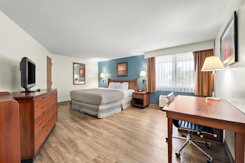 Standard Room, 1 King Bed, Non Smoking