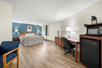Room, 1 King Bed, Accessible, Non Smoking
